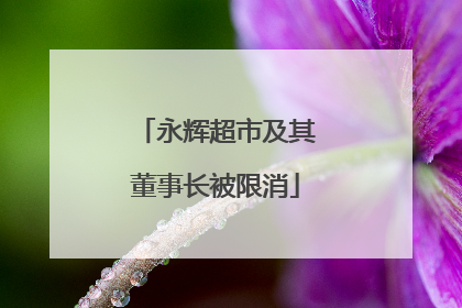 永辉超市及其董事长被限消