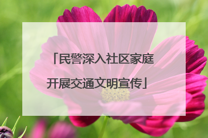 民警深入社区家庭开展交通文明宣传