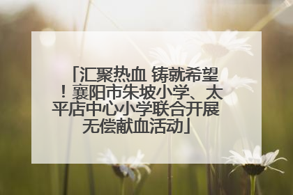 汇聚热血 铸就希望！襄阳市朱坡小学、太平店中心小学联合开展无偿献血活动