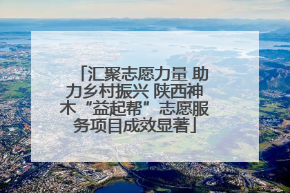 汇聚志愿力量 助力乡村振兴 陕西神木“益起帮”志愿服务项目成效显著