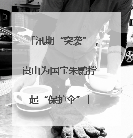 汛期“突袭”，崀山为国宝朱鹮撑起“保护伞”