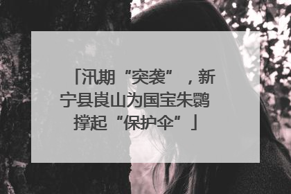 汛期“突袭”，新宁县崀山为国宝朱鹮撑起“保护伞”