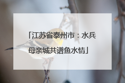 江苏省泰州市：水兵母亲城共谱鱼水情