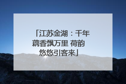 江苏金湖：千年藕香飘万里 荷韵悠悠引客来