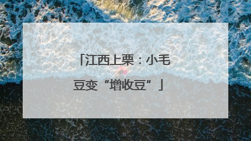 江西上栗：小毛豆变“增收豆”