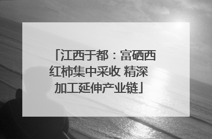 江西于都：富硒西红柿集中采收 精深加工延伸产业链
