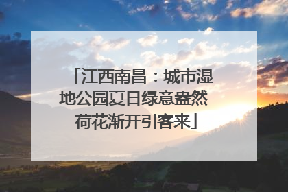 江西南昌：城市湿地公园夏日绿意盎然 荷花渐开引客来