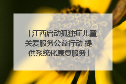 江西启动孤独症儿童关爱服务公益行动 提供系统化康复服务