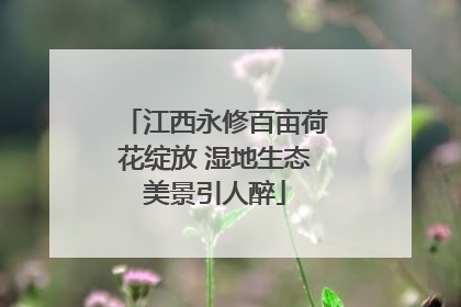 江西永修百亩荷花绽放 湿地生态美景引人醉