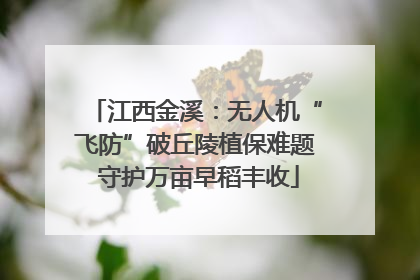 江西金溪：无人机“飞防”破丘陵植保难题 守护万亩早稻丰收