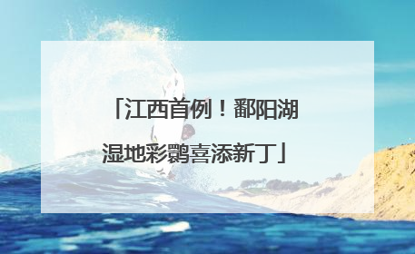 江西首例！鄱阳湖湿地彩鹮喜添新丁