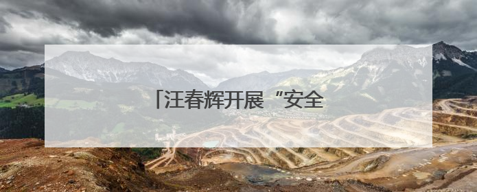 汪春辉开展“安全防范警示日”活动