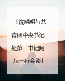 沈晓明与共青团中央书记处第一书记阿东一行会谈
