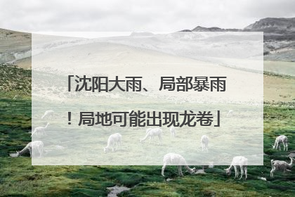 沈阳大雨、局部暴雨！局地可能出现龙卷