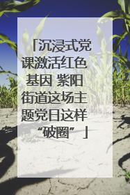 沉浸式党课激活红色基因 紫阳街道这场主题党日这样“破圈”