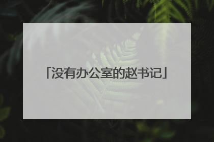 没有办公室的赵书记