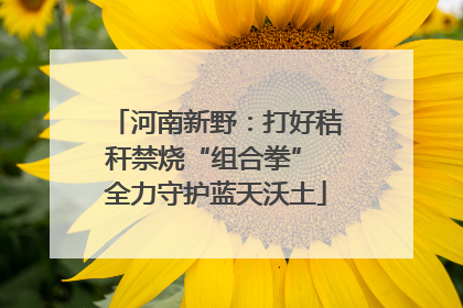 河南新野：打好秸秆禁烧“组合拳” 全力守护蓝天沃土