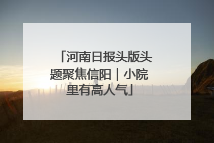 河南日报头版头题聚焦信阳｜小院里有高人气