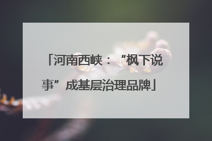 河南西峡：“枫下说事”成基层治理品牌