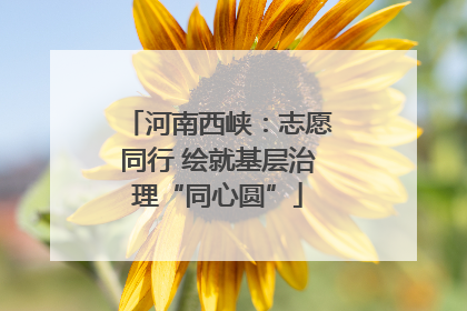河南西峡：志愿同行 绘就基层治理“同心圆”