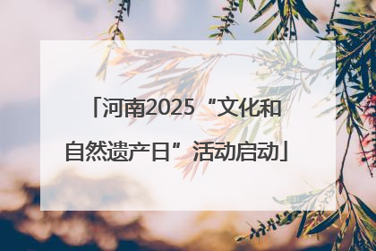 河南2025“文化和自然遗产日”活动启动