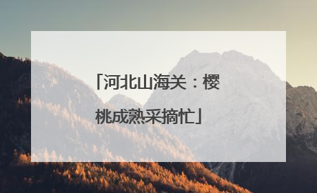河北山海关：樱桃成熟采摘忙