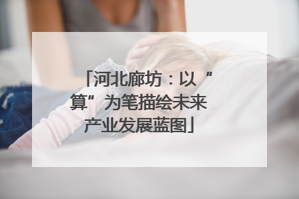 河北廊坊：以“算”为笔描绘未来产业发展蓝图