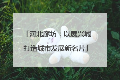 河北廊坊：以展兴城 打造城市发展新名片