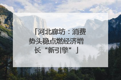 河北廊坊：消费势头稳点燃经济增长“新引擎”