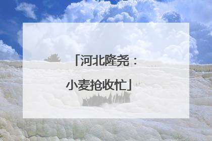 河北隆尧：小麦抢收忙