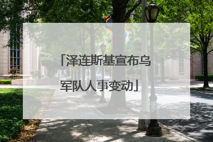 泽连斯基宣布乌军队人事变动