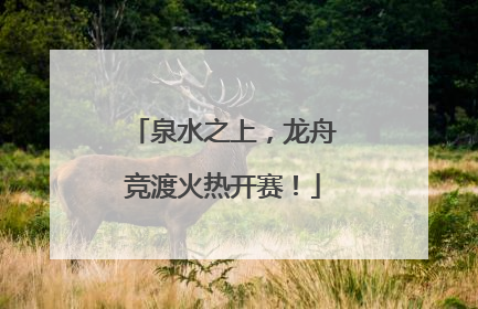 泉水之上，龙舟竞渡火热开赛！
