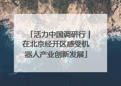 活力中国调研行｜在北京经开区感受机器人产业创新发展