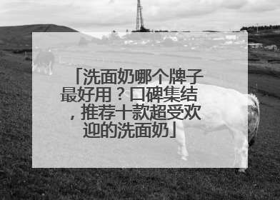洗面奶哪个牌子最好用？口碑集结，推荐十款超受欢迎的洗面奶