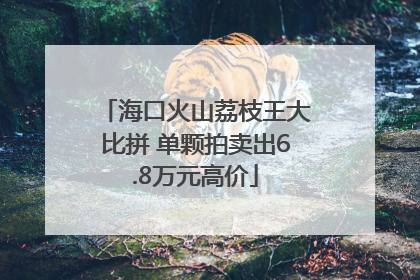 海口火山荔枝王大比拼 单颗拍卖出6.8万元高价