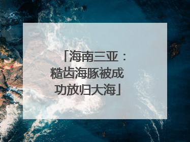 海南三亚：糙齿海豚被成功放归大海