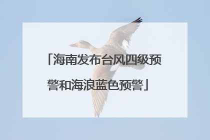 海南发布台风四级预警和海浪蓝色预警