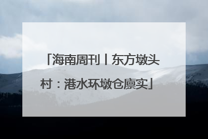 海南周刊丨东方墩头村：港水环墩仓廪实