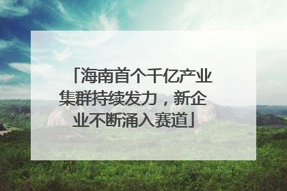 海南首个千亿产业集群持续发力，新企业不断涌入赛道