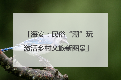海安：民俗“潮”玩激活乡村文旅新图景