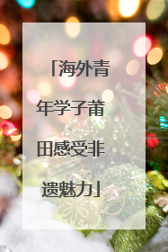 海外青年学子莆田感受非遗魅力