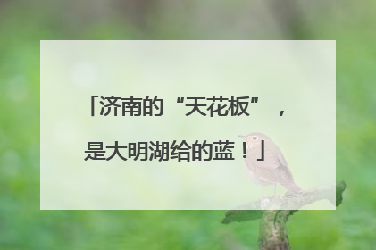 济南的“天花板”，是大明湖给的蓝！