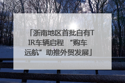 浙南地区首批自有TIR车辆启程 “购车远航”助推外贸发展