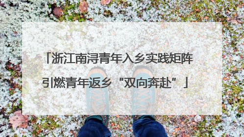 浙江南浔青年入乡实践矩阵 引燃青年返乡“双向奔赴”