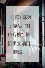 浙江嘉兴：党员“红色专班”护航重大项目建设