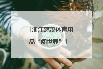 浙江慈溪体育用品“闯世界”