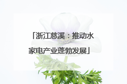浙江慈溪：推动水家电产业蓬勃发展