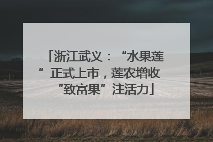 浙江武义：“水果莲”正式上市，莲农增收“致富果”注活力