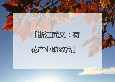 浙江武义：荷花产业助致富