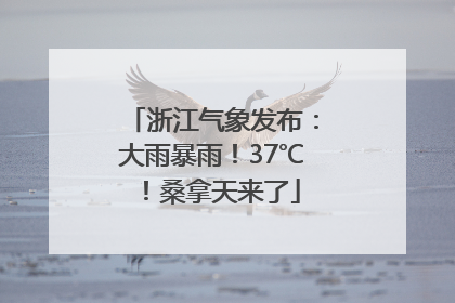 浙江气象发布：大雨暴雨！37℃！桑拿天来了